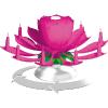 Zimmerfontäne Blumen, rosa mit Musik