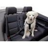 Auto-Reisen Hundeleine aus Nylon, Beste Sicherheit
