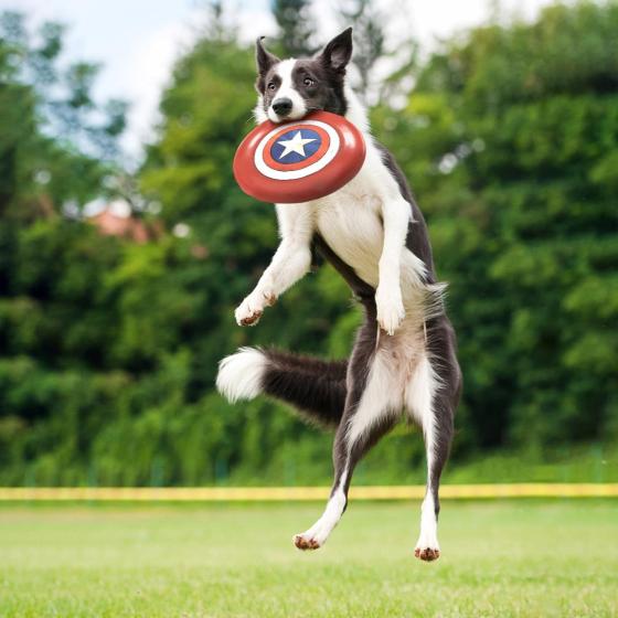 AVENGERS - Captain America - Dog Toy - Fresbee '23cm'