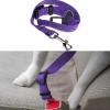 Ceinture de sécurité pour chien - Laisse pour voiture Available color : Purple
