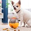 2-IN-1 TREAT DISPENSER TOY FOR PETS