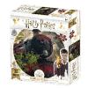 HARRY POTTER - Hogwarts Exp - Lenticular Puzzle 3D 500P
