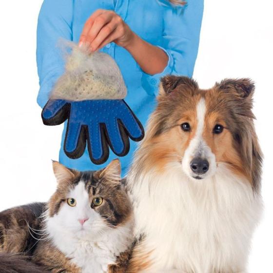 Gants de toilettage pour chiens et chats