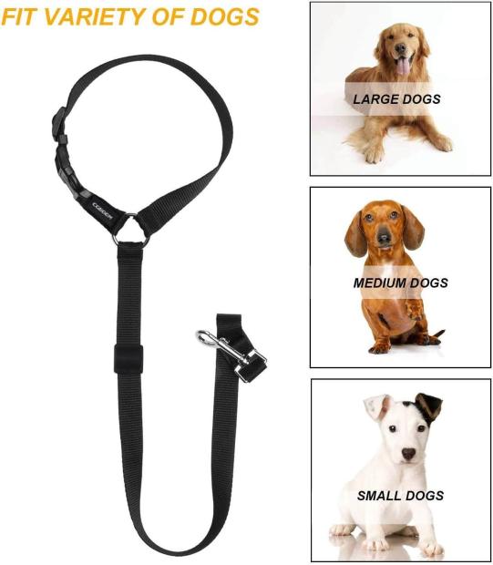 ceinture de sécurité Universelle pour chien 00980LC : Suisse Shopping site  de vente en ligne de produits d'excellents rapports qualités prix